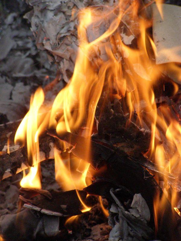 Ce n’est pas sans raison (Guillevic)