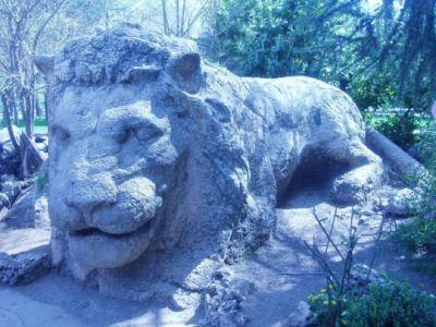 Le Lion d'Ifrane Galerie photo