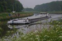 Panthéras à vendre