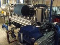 Panthéras à vendre