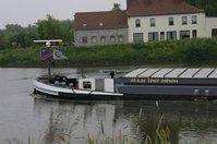 Panthéras à vendre Panthéras à vendre