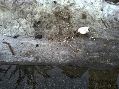 La Chaux-de-Fonds:  24.2.10 fonte et neige sale