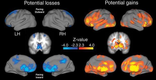 gains-pertes potentiels