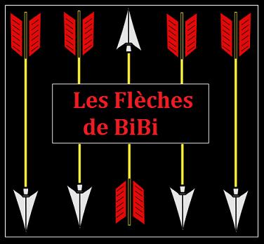Les Flèches de BiBi.