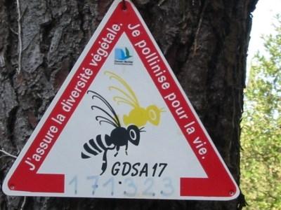 abeille-europe.jpg