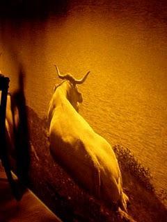 CHEZ INGALLS CHEZ INGALLS