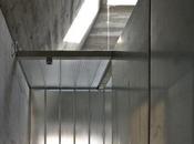 Vertical Component Jose Juan Barba