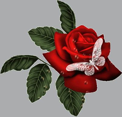 Diner a Brossard amis/es et petite famille