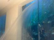 Dubai Mall fuite dans aquarium contenant requins