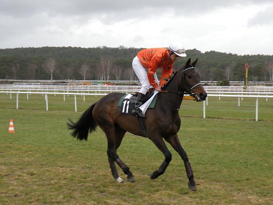Fontainebleau (23.02.2010)