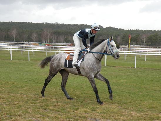 Fontainebleau (23.02.2010)