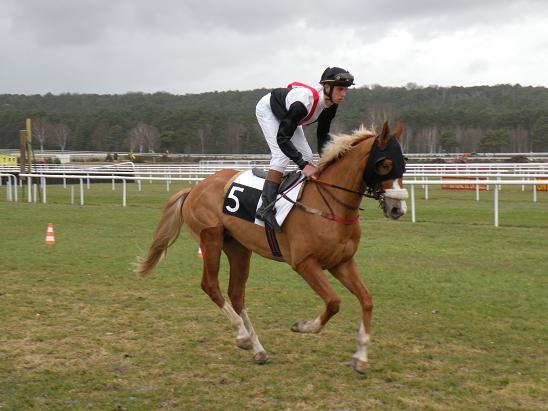 Fontainebleau (23.02.2010)