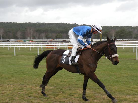 Fontainebleau (23.02.2010)