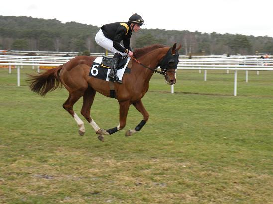 Fontainebleau (23.02.2010)