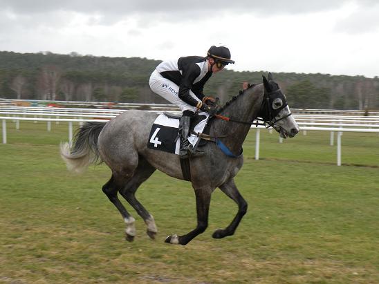 Fontainebleau (23.02.2010)