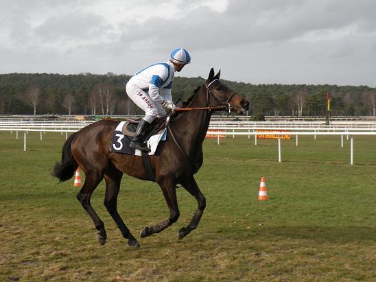 Fontainebleau (23.02.2010)