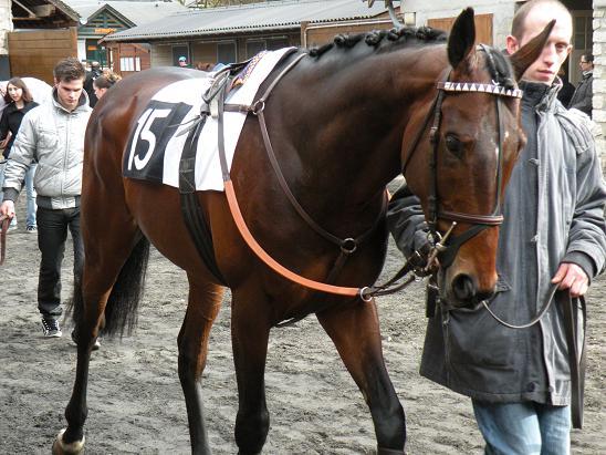 Fontainebleau (23.02.2010)