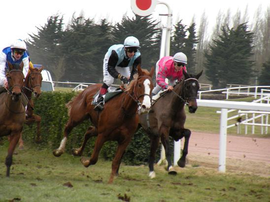 Machecoul (21.02.2010)