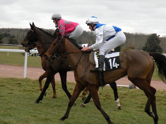 Machecoul (21.02.2010)