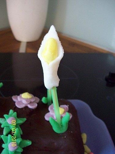 Gateau Jardiniere A Decouvrir Gateau Jardiniere A Decouvrir
