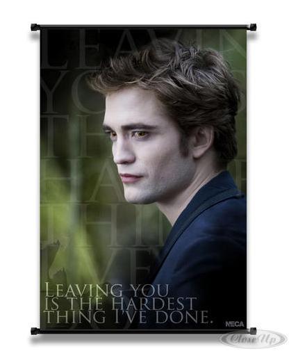 Nouvelles affiches de Twilight New Moon