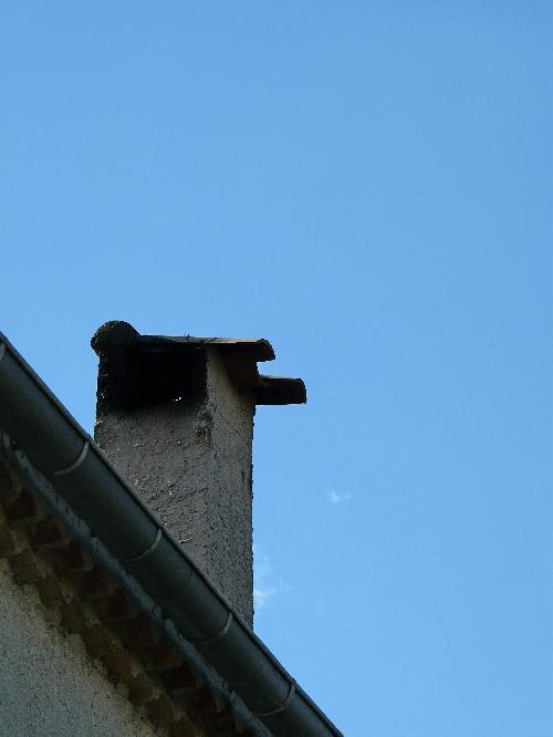 La nature se réveille... : journal du 26 février 2010