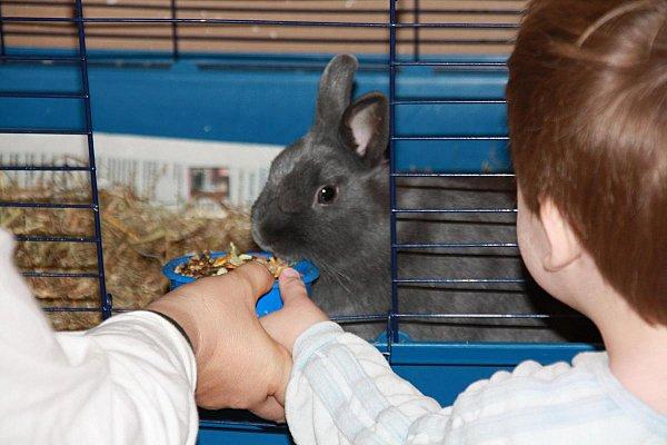 18 Février 2010 (58)