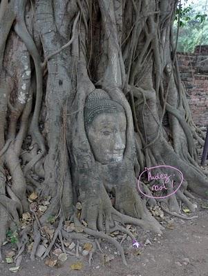Ayutthaya - La ville des temples