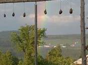L'Armoire Herbes, herboristerie plus ans, obligée fermer portes...