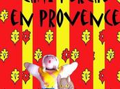 "Chat perché Provence" blog Lucie Poum!