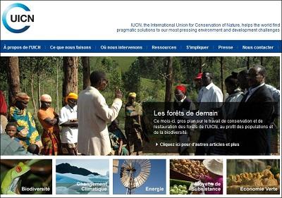 POLÉMIQUE SUR LE CHANGEMENT CLIMATIQUE: L'ONU rejette les thèses sceptiques