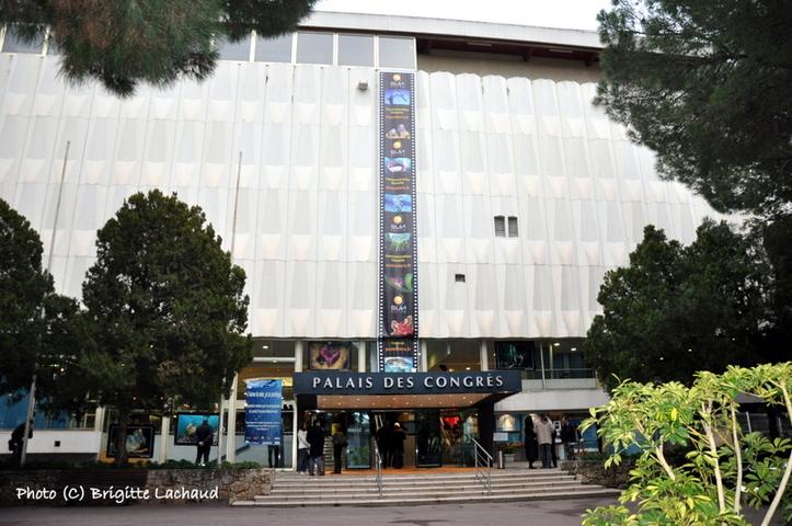FESTIVAL DE L'IMAGE SOUS-MARINE - MEDITERRANEA A ANTIBES