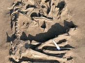 combien temps (Alain Eludut)