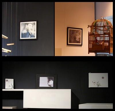 Exposition au Lago Store - Amiens : premieres images