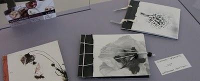 Exposition au Lago Store - Amiens : premieres images