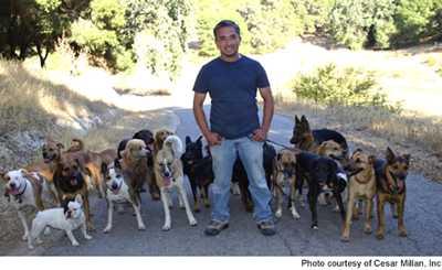 Cesar Millan - Paperblog