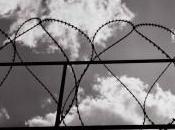 barbelés l’horizon