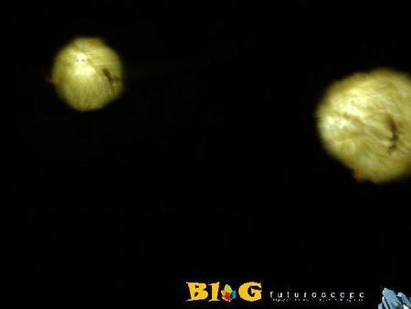 arthur, l'aventure 4D _ dossier 041