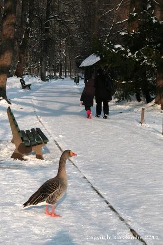 Photos-lundi-ter 4271