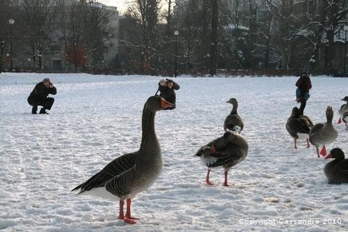 Photos-lundi-ter 4296