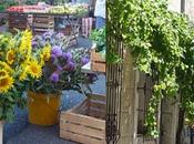 mars...c'est toute histoire