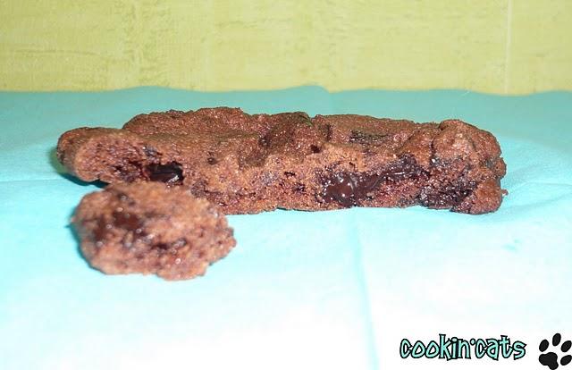 SABLES AU CHOCOLAT ET FLEUR DE SEL DE PIERRE HERME