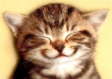 Le sourire (Anonyme)