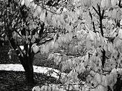 monde réinventer...