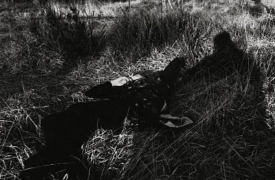 Et si je vous emmenais...