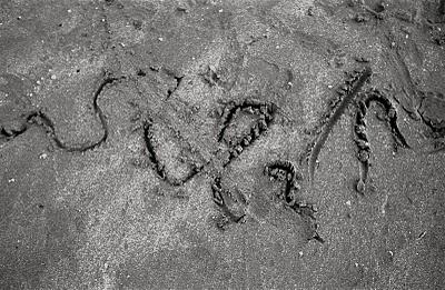 Et si le temps invariablement...