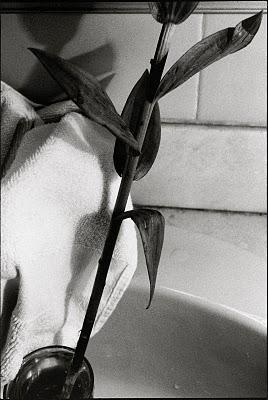 Et si la prochaine fois...