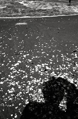 Et si Seven n'était pas à côté de moi...