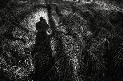 Et si je vous chantais...