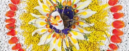 Printemps des richesses